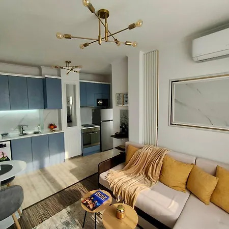 Maxton Design *