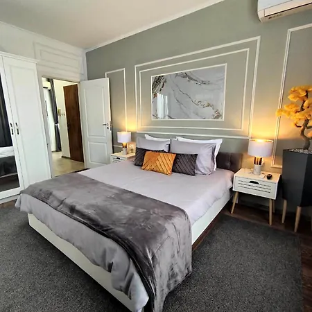 Maxton Design