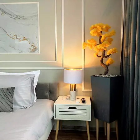 Maxton Design