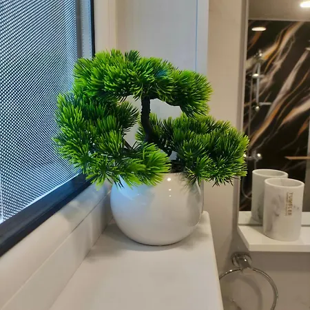 Maxton Design Apartman