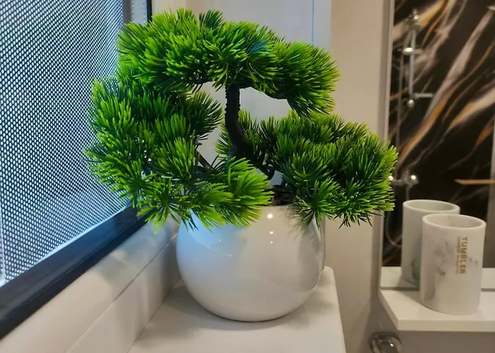 Maxton Design アパート